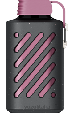 VOZOL Vape Amazon | VOZOL GEAR 10000 mandarino lampone frutto della passione 628N300