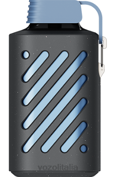 VOZOL Vape Store | VOZOL GEAR 10000 limone blu razz 628N285