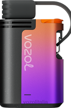 VOZOL Puff | VOZOL GEAR 4000c/6000 tempesta di bacche di bosco 628N324