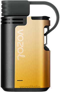 VOZOL Vape Shop | VOZOL GEAR 4000c/6000 kiwi frutto della passione guava 628N326