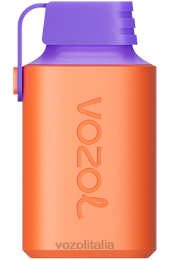VOZOL Review | VOZOL GEAR 600 ghiaccio d'uva al mirtillo rosso 628N348