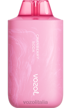 VOZOL Review | VOZOL STAR 6000/8000v2 soda al mirtillo rosso 628N58