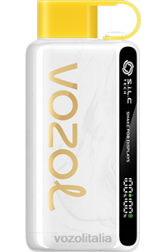 VOZOL Vape Store | VOZOL STAR 9000/12000 kiwi frutto della passione guava 628N25