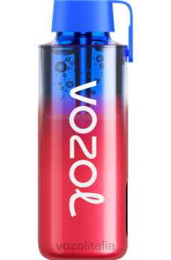 VOZOL Vape Italia | VOZOL NEON 10000 ghiaccio al mirtillo 628N243