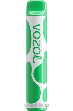 VOZOL Puff | VOZOL JOYGO 600 Gomma da masticare all'anguria 628N394