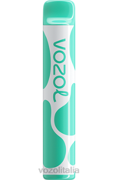 VOZOL Vape Sale | VOZOL JOYGO 600 mentolo 628N387