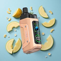 Razz Bar 45000 Puffs Sigaretta elettronica usa e getta Ananas Cocco con Bobina Mesh 1.0 Ohm