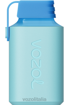 VOZOL Italia | VOZOL GEAR 600 ghiaccio al mirtillo 628N361