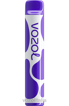 VOZOL Review | VOZOL JOYGO 600 Frutti di bosco 628N388