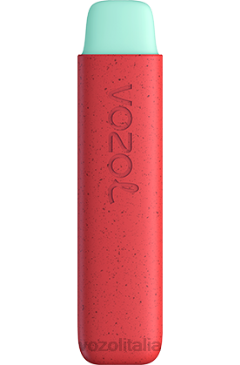 VOZOL Review | VOZOL STAR 550 mela pesca 628N138