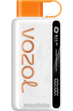 VOZOL Review | VOZOL STAR 9000/12000 anguria mango pesca 628N28