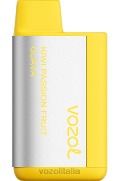 VOZOL Review | VOZOL TIGO 600 kiwi frutto della passione guava 628N368