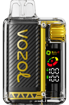 VOZOL Review | VOZOL VISTA 16000/20000 ghiaccio al mango 628N8