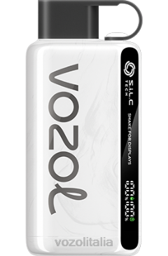 VOZOL Vape Italia | VOZOL STAR 9000/12000 tabacco 628N33