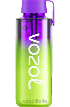 VOZOL Vape Sale | VOZOL NEON 10000 anguria al lampone 628N237