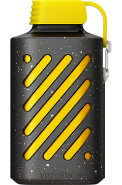 VOZOL Vape Store | VOZOL GEAR 10000 kiwi frutto della passione guava 628N295