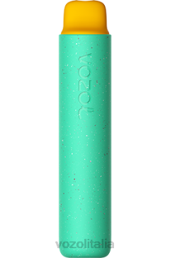 VOZOL Vape Store | VOZOL STAR 2000 orsetto gommoso 628N155